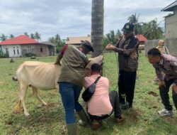 Dinas Pertanian Aceh Besar Tingkatkan Pelayanan Peternakan dan Kesehatan Hewan