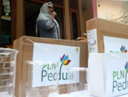 Yekki Yasmin Serahkan Bantuan CSR PLN bagi Pelaku UMKM