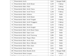 Banda Aceh Raih Predikat “Sangat Baik” Evaluasi SPBE Tahun 2024