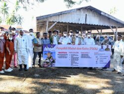 Pemkab Aceh Besar Lakukan Langkah Antisipasi Penyebaran PMK di Pasar Hewan Sibreh