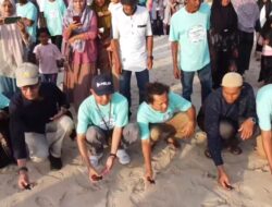 Camat Pulo Aceh Hadiri Konservasi Penyu Bersama PT PELNI