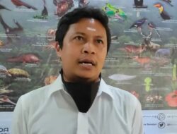 Pemerintah Aceh Perlu Tetapkan Areal Preservasi untuk Penanganan Konflik Satwa