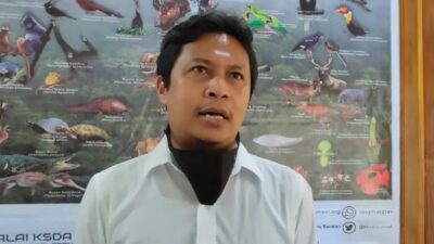 Pemerintah Aceh Perlu Tetapkan Areal Preservasi untuk Penanganan Konflik Satwa