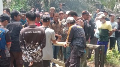 Cukong Inkar Janji, Massa Duduki Lahan Eks TNGL yang Dikuasai Pengusaha