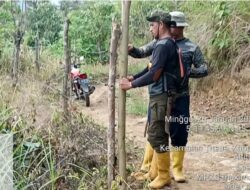 Wacana Penetapan Koridor Satwa di Aceh Kembali Menguat