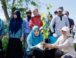 Marlina Muzakir Tanam Murbei, Dorong Kebangkitan Sutera Aceh