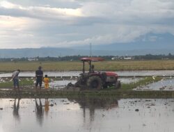 Ikut Wujudkan Lumbung Pangan Nasional, Aceh Besar Garap Tanam Gadu