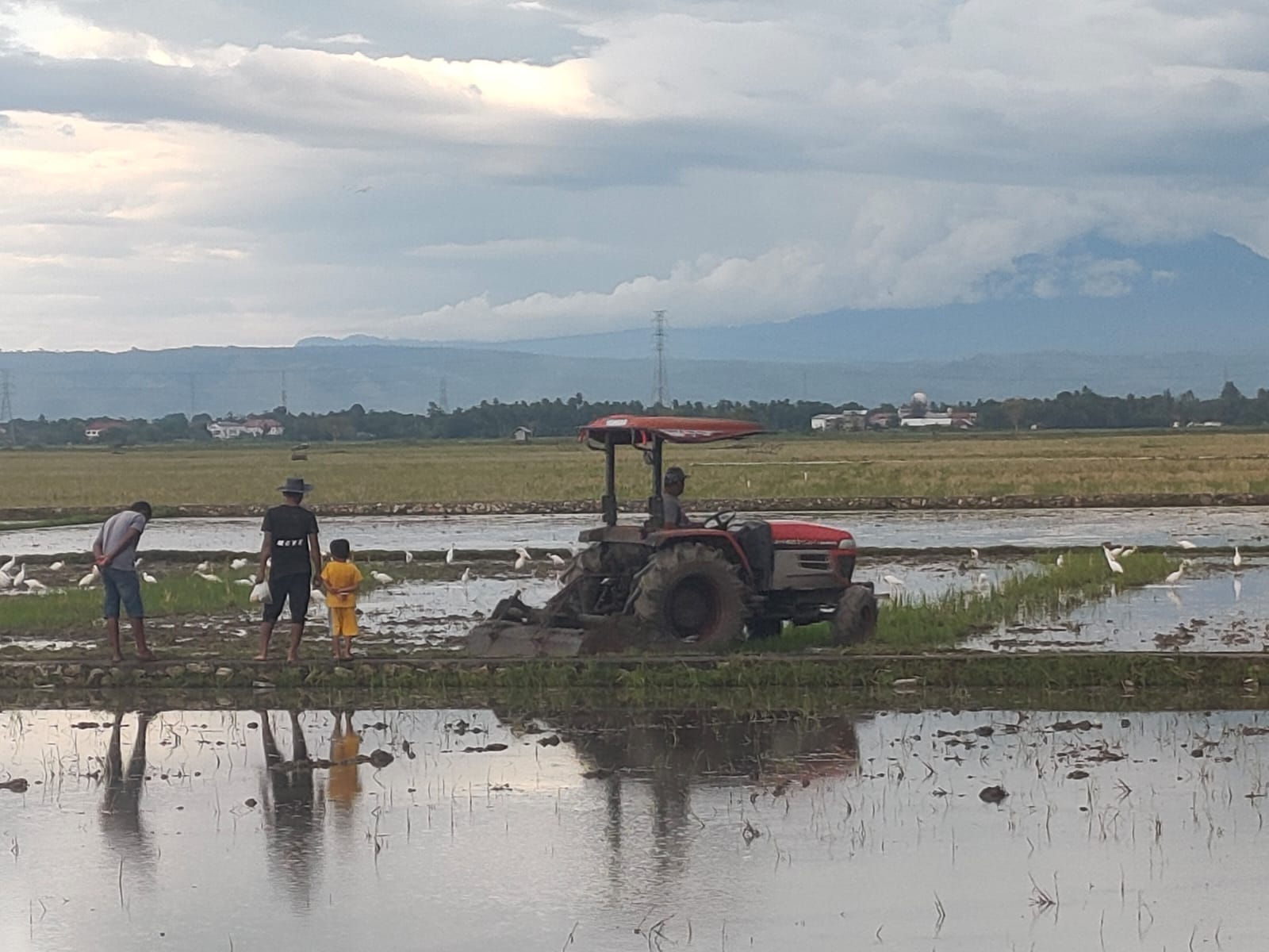 Ikut Wujudkan Lumbung Pangan Nasional, Aceh Besar Garap Tanam Gadu