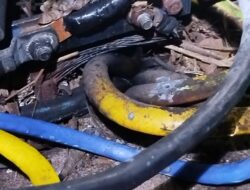 Kabel Listrik di Area Ranto Peureulak Terbakar, Distribusi Air PDAM Lumpuh