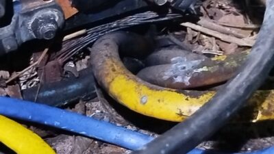 Kabel Listrik di Area Ranto Peureulak Terbakar, Distribusi Air PDAM Lumpuh