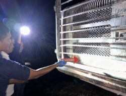 Polisi Mulai Selidiki Penyebab Excavator Terbakar di Kebun Pase Damai