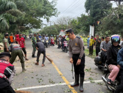 Polres Aceh Selatan Evakuasi Pohon Tumbang di Kecamatan Sawang