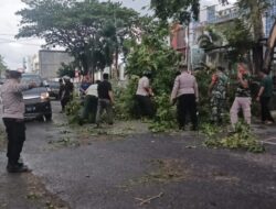 Pohon Tumbang di Badan Jalan, Aparat dan Warga Ikut Bersihkan