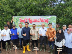 Wakil Wali Kota Langsa dan Forest For Life Tanam Manggrove