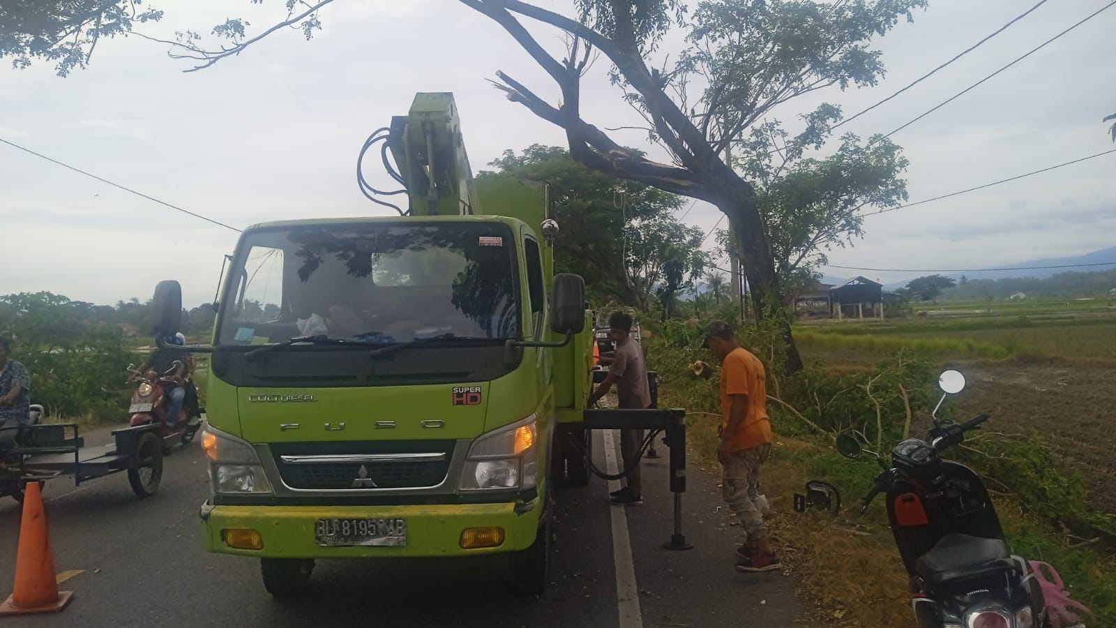 Menggangu Pengguna Jalan, DLH Aceh Besar Potong Dahan Pohon