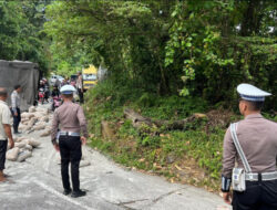 Truk Tronton Kecelakaan Tunggal, Lalulintas Sempat Terhenti