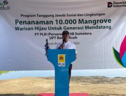 PLN Tanam Mangrove, Pemkab Aceh Besar beri Dukungan
