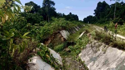 Habiskan Anggaran Rp174,2 Miliar, Irigasi Sigulai Tidak Berfungsi