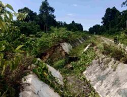Habiskan Rp174,2 Miliar, Irigasi Sigulai Tidak Berfungsi, Diduga Kualitas Bangunan Rendah