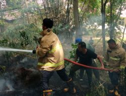 BPBD Aceh Besar Padamkan Kebakaran Lahan Pinus di Saree
