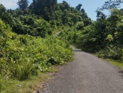 Warga Alafan Keluhkan Jalan Sempit dan Bersemak