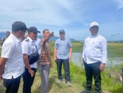 Sawah Blang Tamak Tungkop butuh Solusi Pengairan