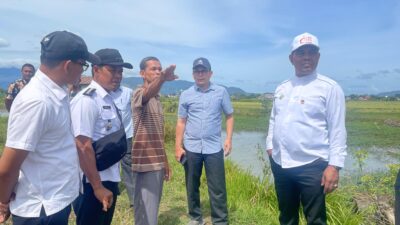 Sawah Blang Tamak Tungkop butuh Solusi Pengairan