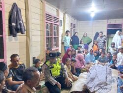Tertimpa Saat Menebang Pohon, Seorang Pria Meninggal Dunia