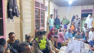 Tertimpa Saat Menebang Pohon, Seorang Pria Meninggal Dunia