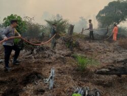 15 Hektare Hutan dan Lahan Terbakar di Aceh Selatan