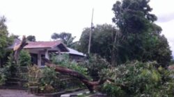 BMKG: Wilayah Barat Selatan Aceh Berpotensi Diterjang Angin Kencang