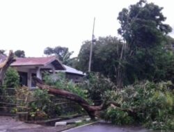 BMKG: Wilayah Barat Selatan Aceh Berpotensi Diterjang Angin Kencang