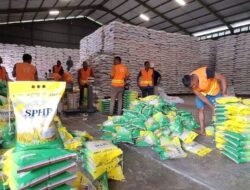 Bulog Pastikan Penyaluran Beras SPHP tak Ganggu Harga Gabah Petani