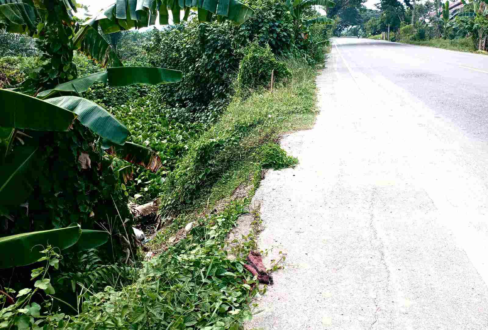 Wabup Ismail Ancam ‘Police Line’ Parit Gajah PTPN I Regional 6 Salahi Aturan