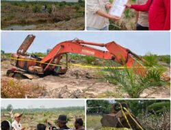 Ada ‘Kartel’ Kebun Kelapa Sawit di Alur Cina Kuasai 900 Hektar HL dan HP Mangrove Bertopeng Poktan