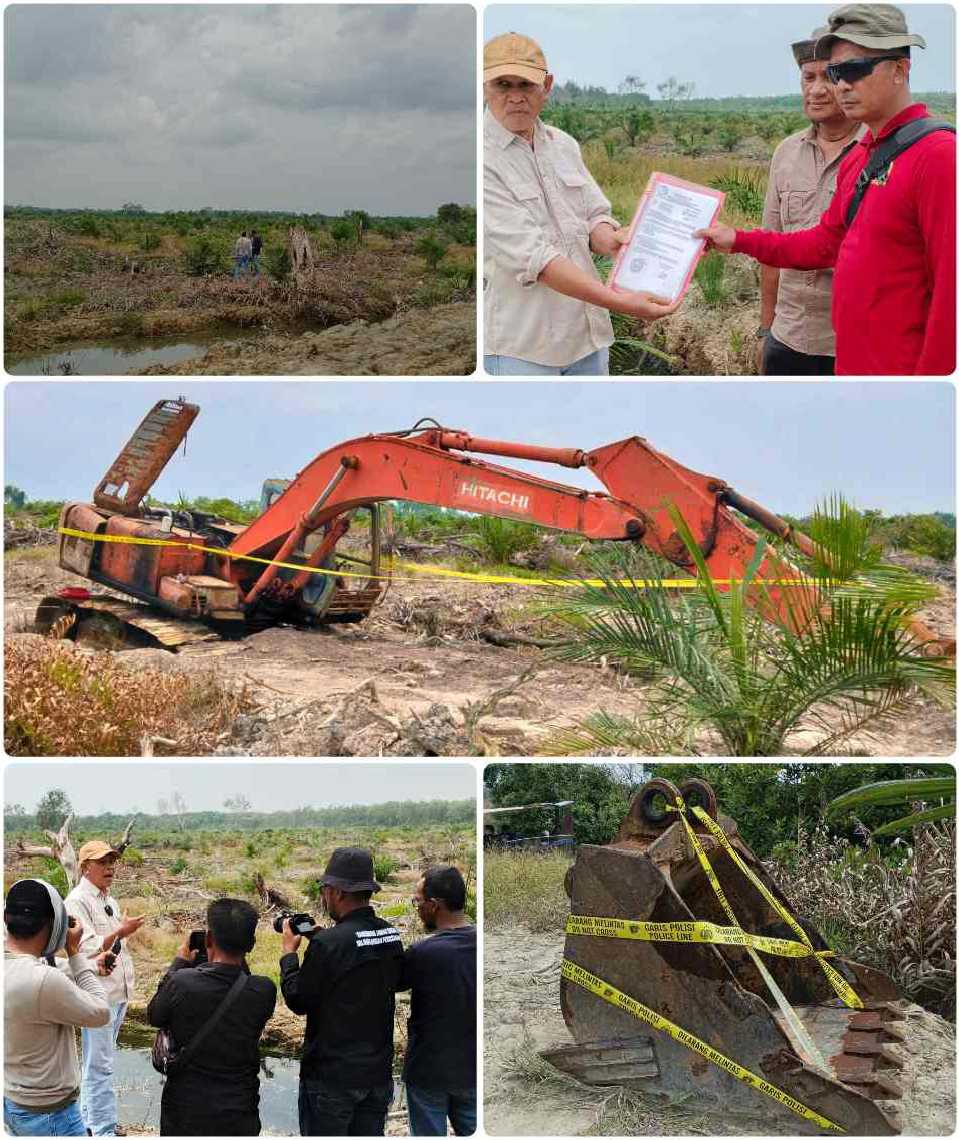 Ada ‘Kartel’ Kebun Kelapa Sawit di Alur Cina Kuasai 900 Hektar HL dan HP Mangrove Bertopeng Poktan