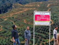 Gagal Upaya Preventif Lakukan Tindakan Hukum Secara Tegas Bagi Pembabat TNGL