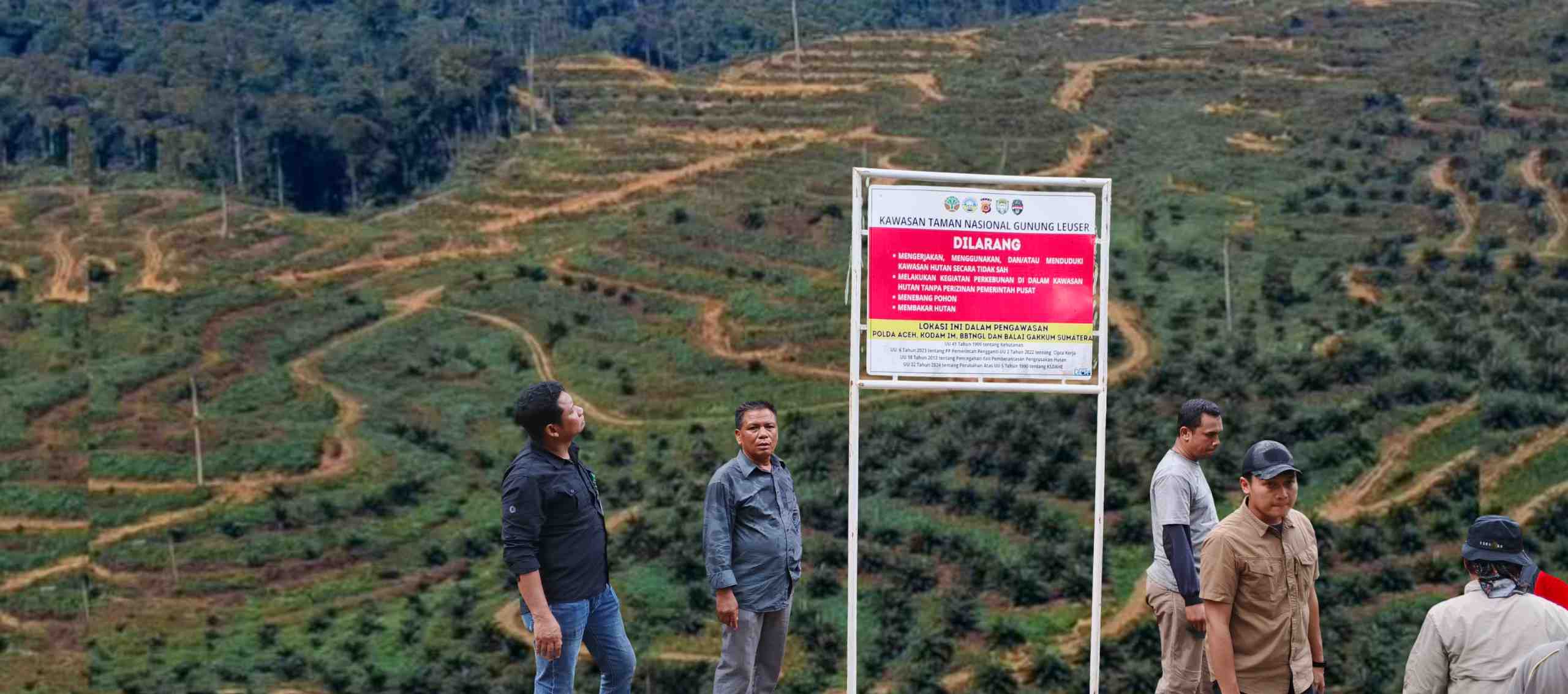 Gagal Upaya Preventif Lakukan Tindakan Hukum Secara Tegas Bagi Pembabat TNGL