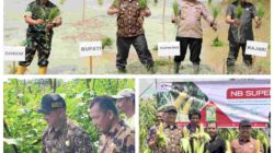 Kata Bupati, Tanam Padi dan Jagung  Jaga Stabilitas Harga dan Ketahanan Pangan