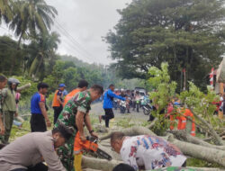 Polres Aceh Selatan Bersama Masyarakat Bersihkan Pohon Tumbang di Jalan Nasional