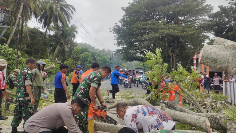 Polres Aceh Selatan Bersama Masyarakat Bersihkan Pohon Tumbang di Jalan Nasional