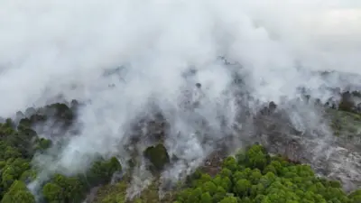 Karhutla Aceh Selatan