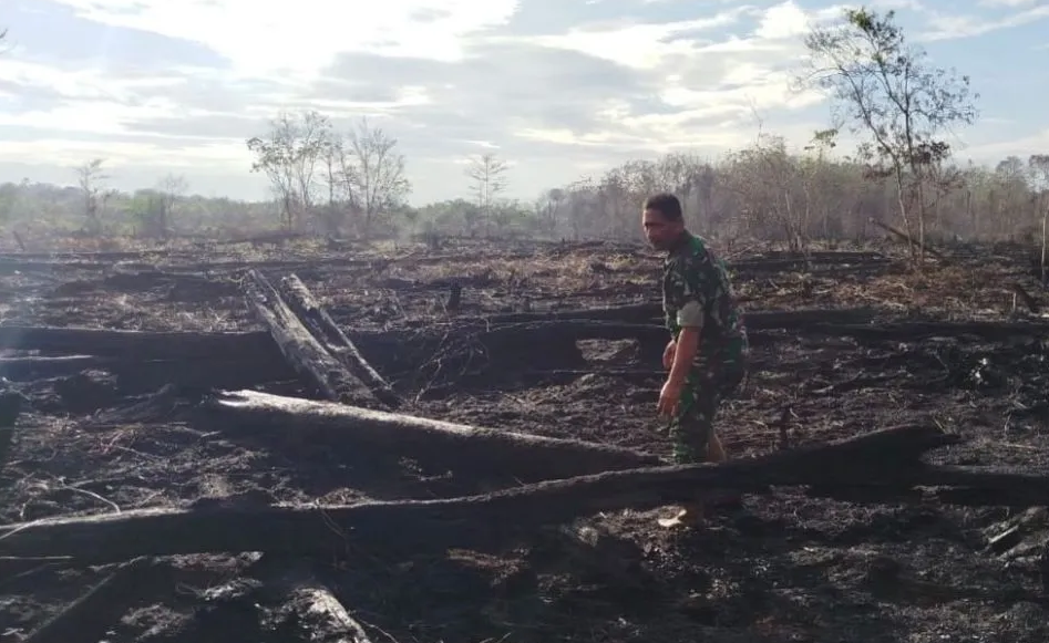 Karhutla Seluas 6,5 Hektare di Aceh Barat Berhasil Dipadamkan
