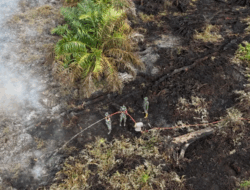 Hujan Bantu Redam Kebakaran Hutan