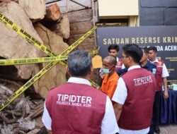 Polisi Tahan Satu Tersangka Ilegal Logging, 7 Kubik Kayu Disita