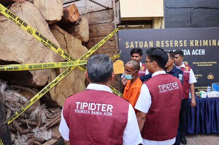 Polisi Tahan Satu Tersangka Ilegal Logging, 7 Kubik Kayu Disita