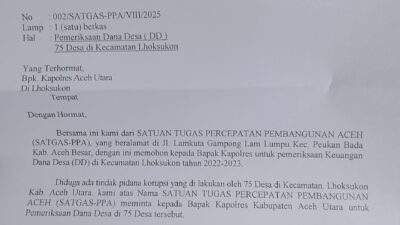 Dana Desa