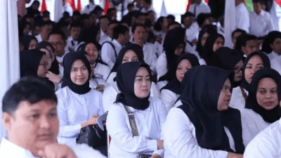 PPPK Paruh Waktu