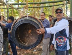 Rapai Pase dan Lomba Kuah Lada Meriahkan HUT RI di Seunuddon