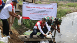 Pertamina Patra Niaga Tebar 3.000 Benur Bandeng di Tambak Warga